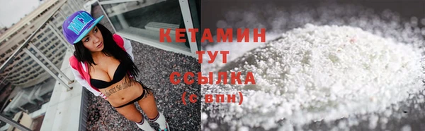 сатива Сатка