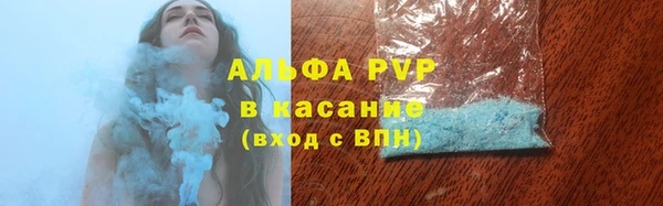 сатива Сатка