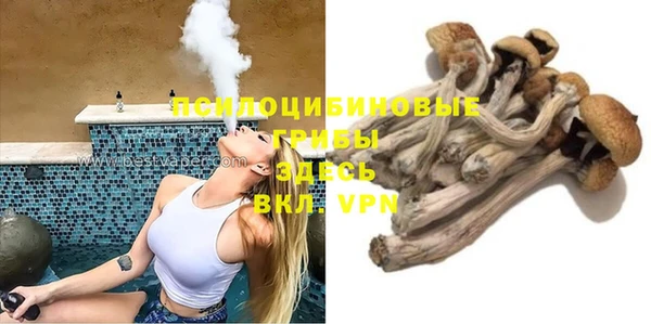 сатива Сатка