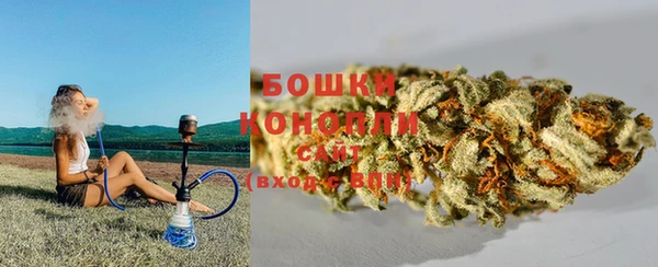 сатива Сатка