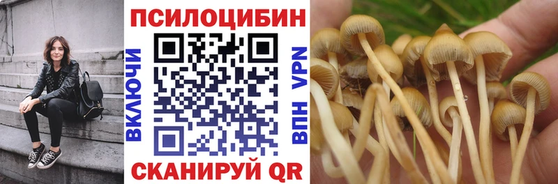 Псилоцибиновые грибы Psilocybine cubensis  blacksprut ТОР  Болотное 